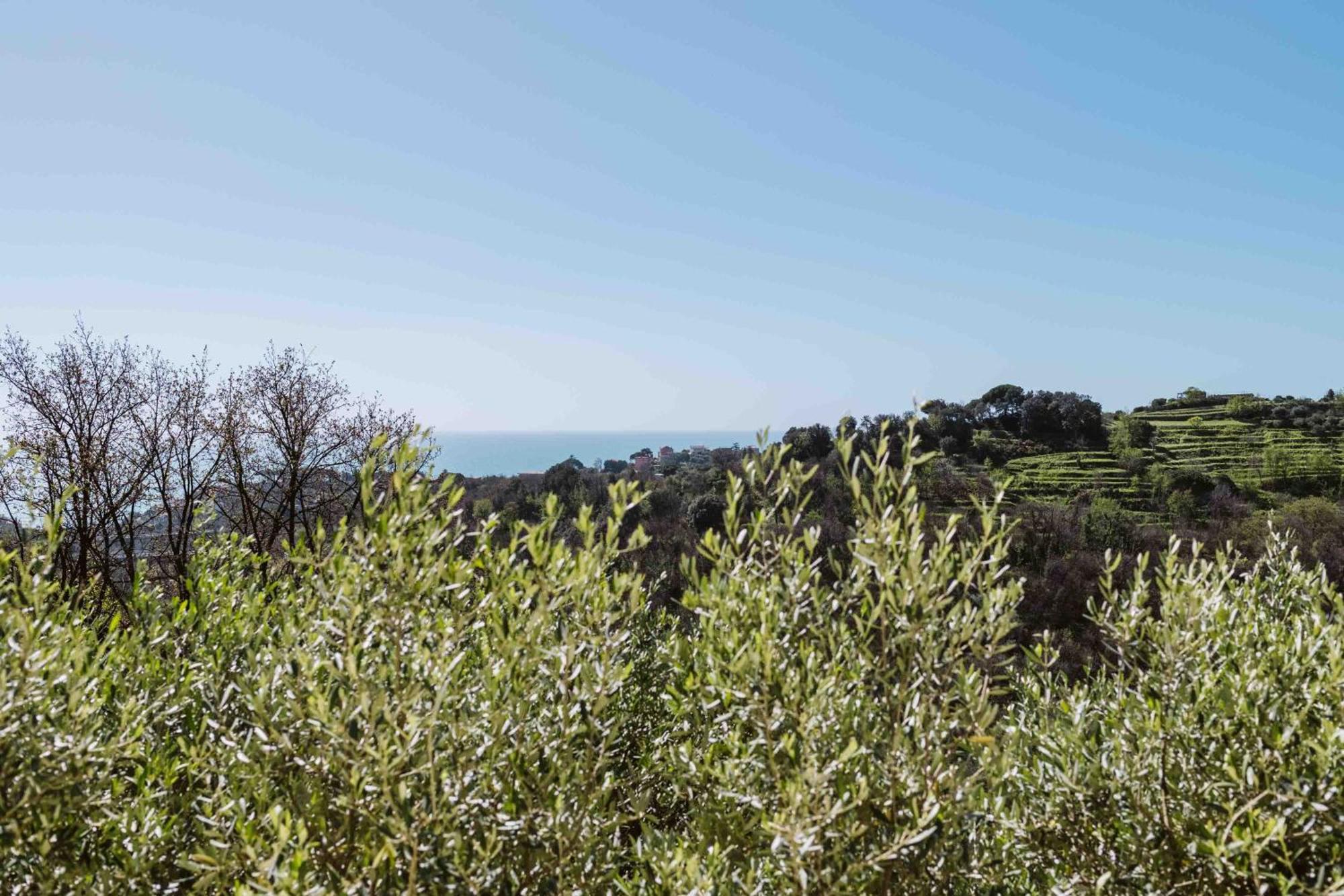 Abc Affittacamere Celle Ligure Dış mekan fotoğraf